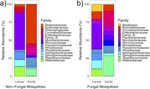 Influences of a Prolific Gut Fungus (Zancudomyces culisetae) on Larval and Adult Mosquito (Aedes aegypti)-Associated Microbiota