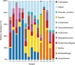 Variation in the microbiota across different developmental stages of Aedes albopictus is affected by ampicillin exposure