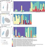 Impact of Gut Bacteria on the Infection and Transmission of Pathogenic Arboviruses by Biting Midges and Mosquitoes
